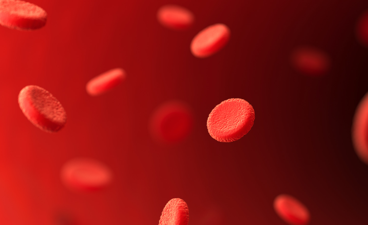 TRIMETILGLICIN- BETAIN